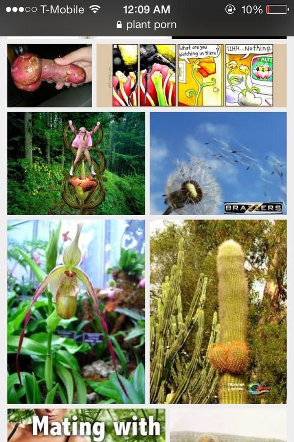 SS_Owlan's tweet image. @MissPirateTetra TETRA GUESS WHAT

YOU HAVE 169 FOLLOWERS 

YOUVE NOW REACHED THE AGE WHERE I CAN SHOW YOU THIS