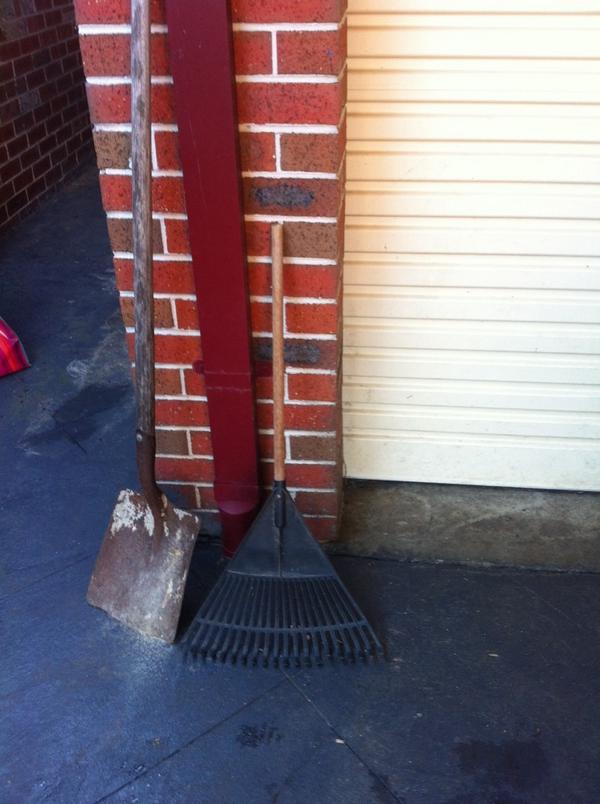 implausicle's tweet image. what the fauk