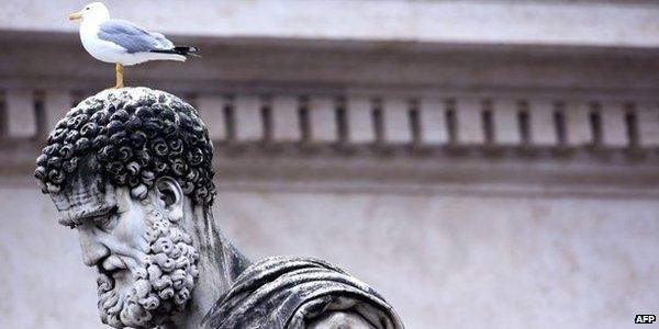 BBCNews's tweet photo. The birds that are terrorising Rome - the greedy bullies of the avian world http://t.co/g5WObg6zWN http://t.co/kKgHSxxmfv