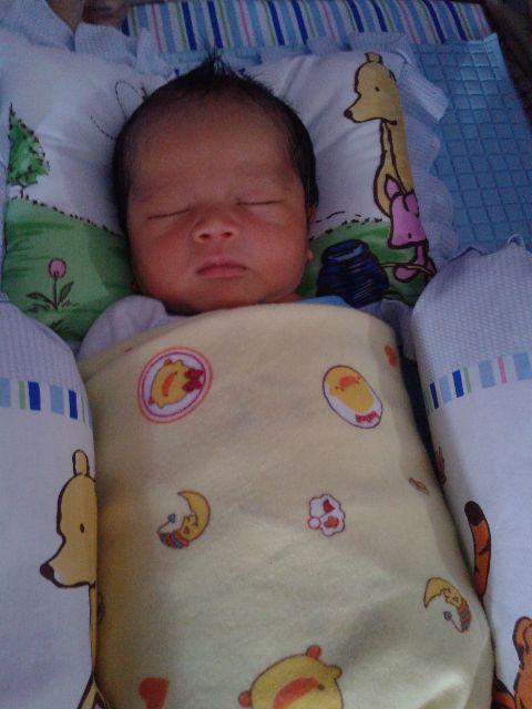 setyaziggy's tweet photo. Selamat datang sayang http://t.co/4W8Ufl3C26