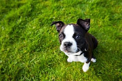 Arrived <a href="/SouthGlosShow/">South Glos Show</a> #sgselfie had to be done.