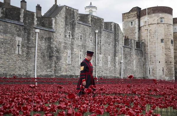 The Tower of London surrounded by 888,246 poppies. Find out more about tomorrow's centenary events in our Aug issue