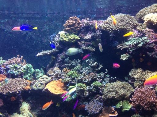 mjersan's tweet photo. I took it from Sentosa http://t.co/xXiw2ZfTBA