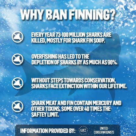 SharkWeek's tweet image. Learn more to prevent shark finning! Join the #FinFree movement w/ our partner @LUSHCosmetics dsc.tv/zRb2x