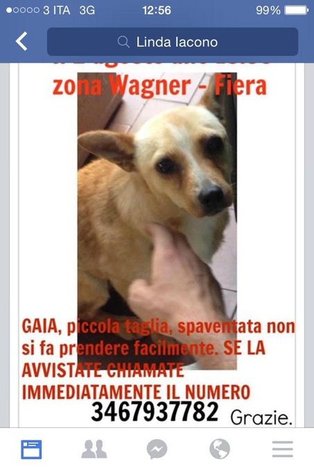 Gaia e' stata smarrita a Milano.. Se puoi fai girare???? @JustElisabetta http://t.co/tghBUWdRrO<a href="/tag/6maggio"class="tags"><span>#6maggio</span></a><a href="/tag/logico"class="tags"><span>#logico</span></a>