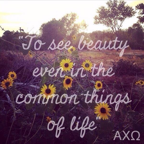 • {To see beauty even in the common things of life} • 🌻☀️ #SymphonySunday #AlphaChiOmega #RealStrongWomen