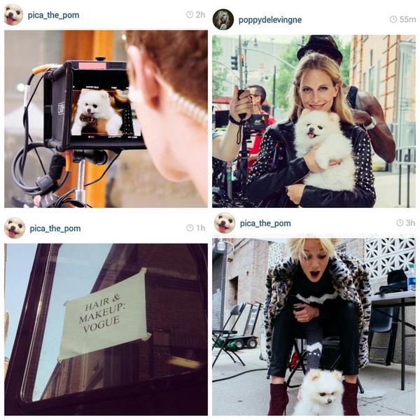 SandraPersing's tweet image. Thats a wrap! #vogue #piperlime nyc shoot.