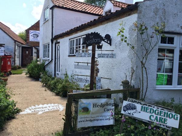 Hedgehogcare's tweet photo. @CCSlincolnshire have just delivered 12 hedgehog release boxes that they donate to us x http://t.co/AAuJrCxW0G