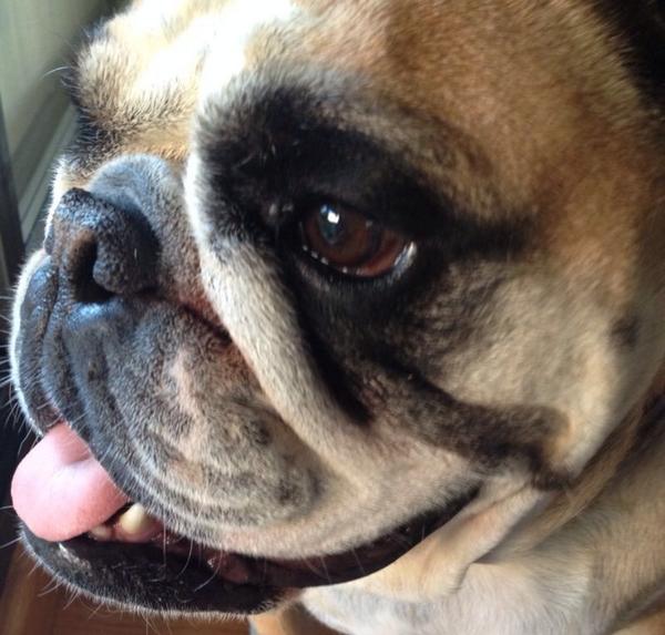 maxfoster24's tweet image. Feliz domingo!!!!!