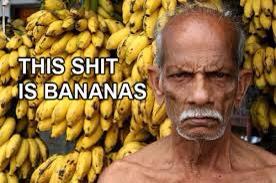 AlexksGarden's tweet image. Wen @MlGUELCABRERA  guta infield hit 🍌