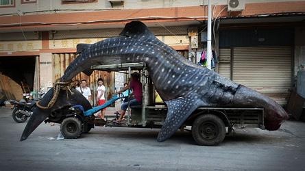 Chine - Un pêcheur transportait un requin-baleine de 2 tonnes afin de le vendre au marché. bit.ly/1zLjeuf