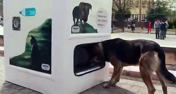 antena3com's tweet photo. Instalan en Turquía una máquina expendedora con comida para perros abandonados [vídeo] http://t.co/3Wr9ys4GNr http://t.co/rVA8ThB46m