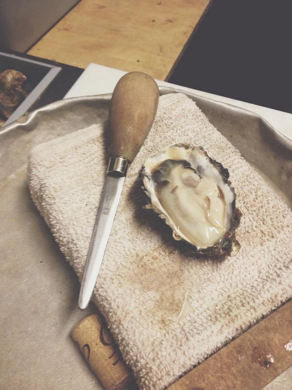 “<a href="/johntannerrr/">Tanner</a>: @2xBlackSheep I'm here, I'm waiting for your oyster addictions. ” plump