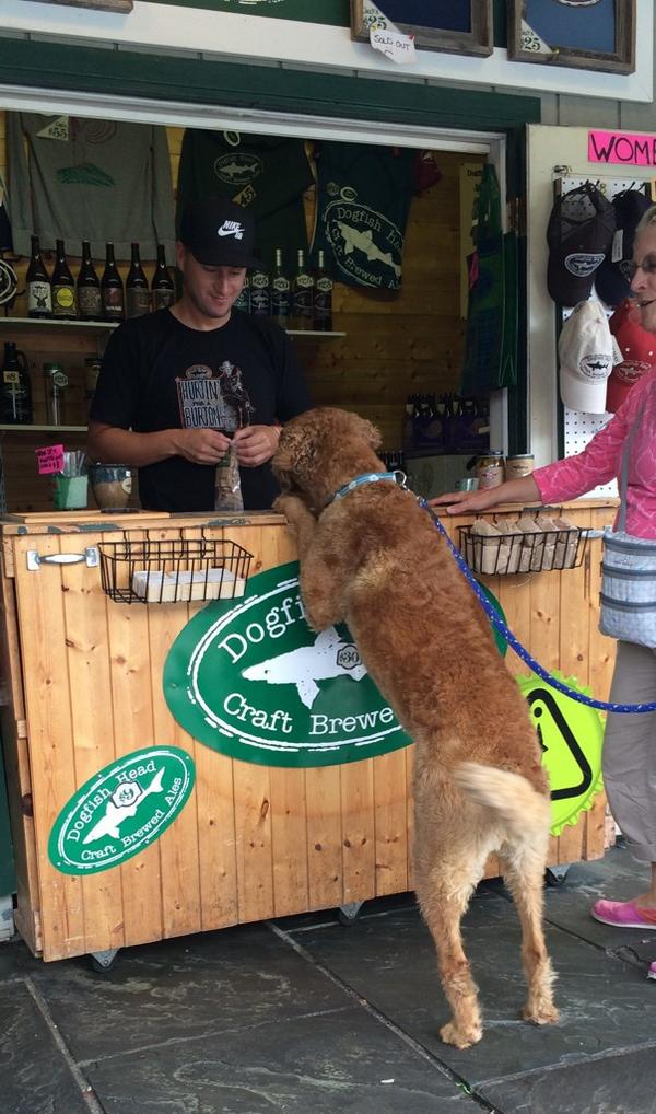 diffurence's tweet photo. I swear in dog years I'm 35. @dogfishbeer @dogfish_ale  @rehoboth_beach #craftbeer http://t.co/Uu7JZgzdXz