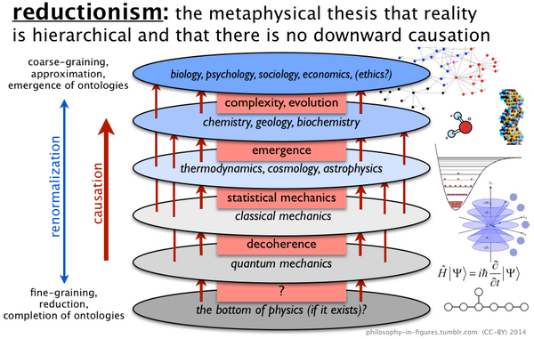 PartiallyExLife's tweet photo. MT @LogicalAnalysis @RyanDavidReece #philosophy in figures: reductionism (#MoveNaturalism) http://t.co/N9XhMj7oVk http://t.co/Rrgyd5hOm3