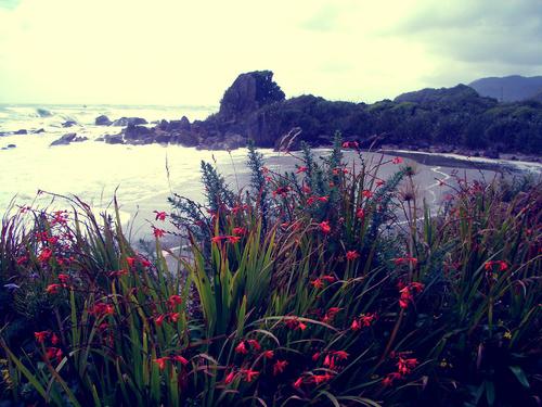 Take me there..