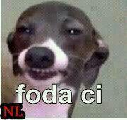 DuarteBi's tweet image. 