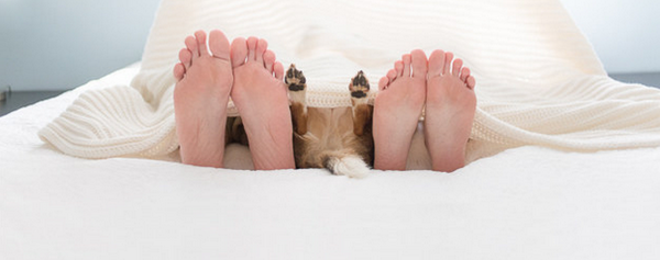 BuzzFeed's tweet photo. A baby photographer did a cliché newborn photo shoot starring a dog
http://t.co/GPYoZFv7Cc http://t.co/69It7VsGX2