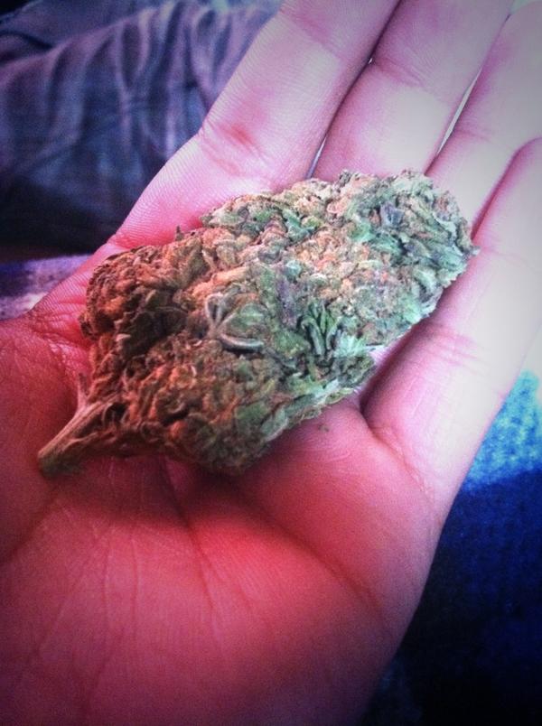 ReckBoi_Kayos's tweet image. #AntiReggie #FatAssNug #PackPack