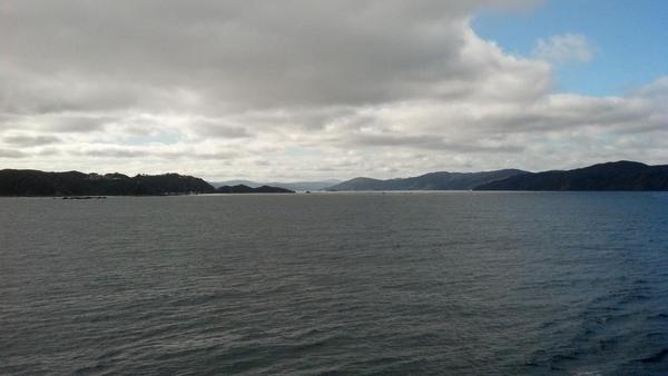 It's been a blast Wellington, I'll miss your face xoxo