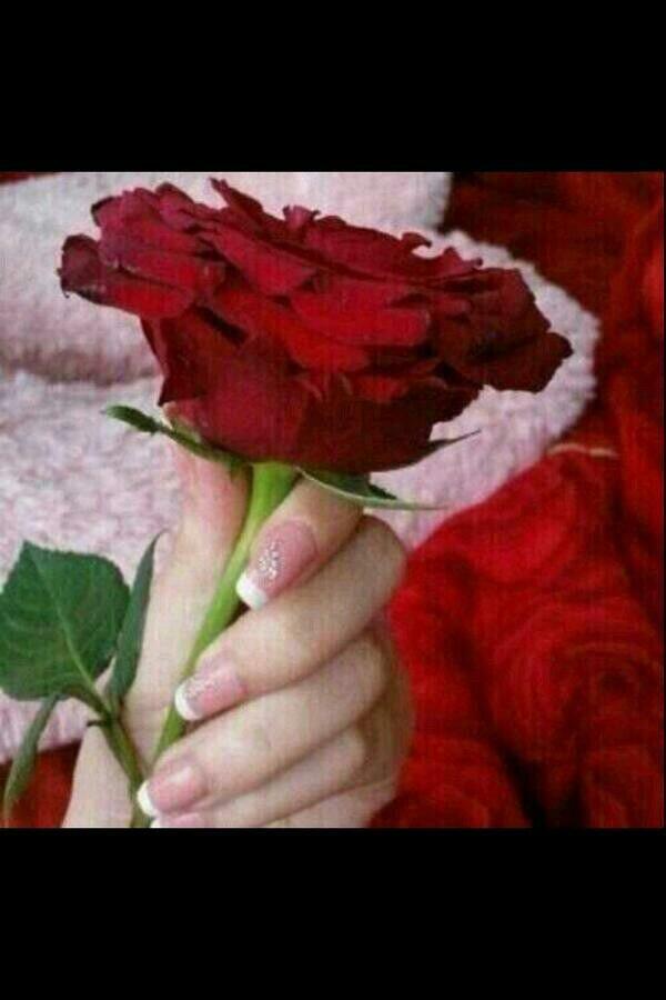 752824's tweet photo. http://t.co/pUhKLvxi6X