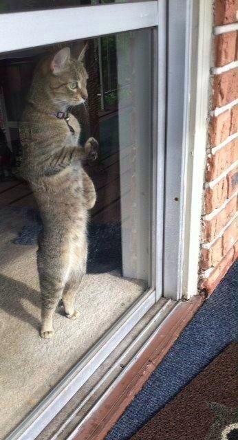 Altase_'s tweet image. When you're playing team tac and the dummy kills you and you're watching your friends trickshotting.