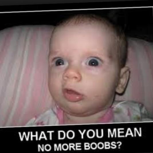 khanson77's tweet image. Lol