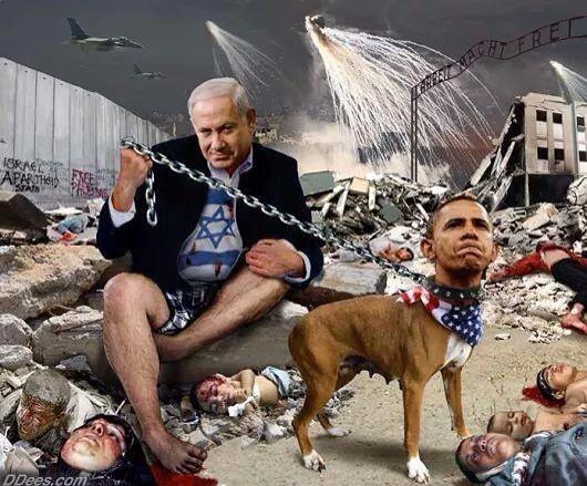 AMERIKA itu ANJING nya ISRAEL
