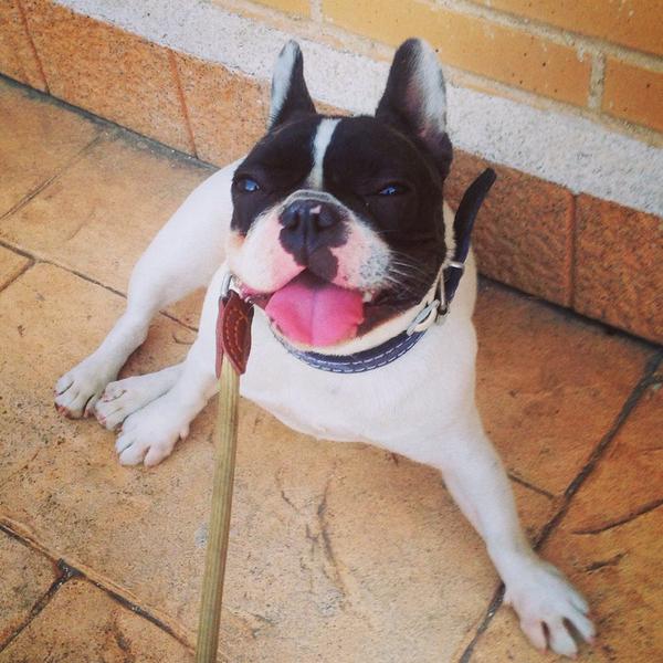lamartineee's tweet photo. Mucho calor, según Manuela...
#ByManuela #unkitkat http://t.co/5dSCr1fJdK