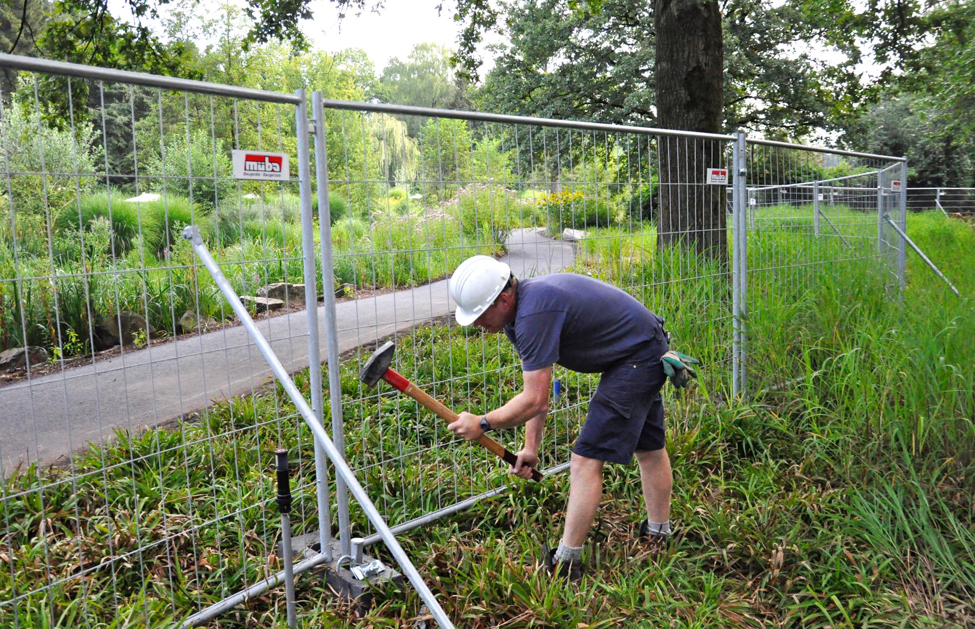 BuLwzr_IYAEnP6Z.jpg:large