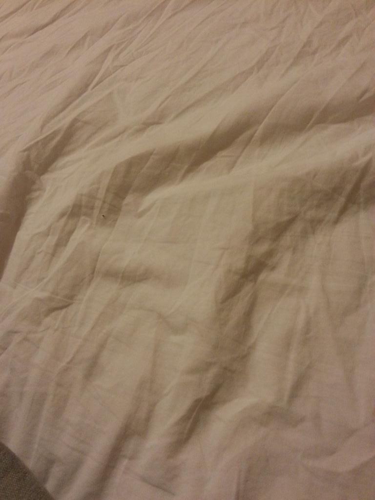 MRCATTEARS CLONE on Twitter "about bed sheets. Wikipedia. Sarah why