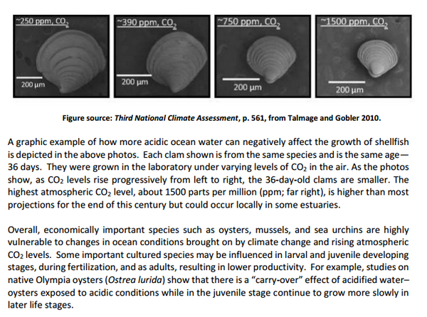 For more on how carbon pollution makes oceans more acidic, see @whitehouseostp whitehouse.gov/sites/default/… #ActOnClimate