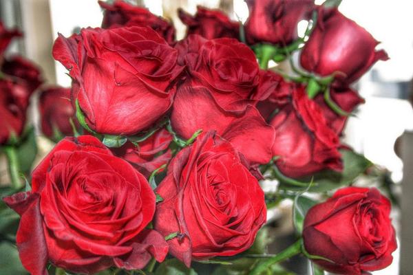 Beautiful busy week ahead!