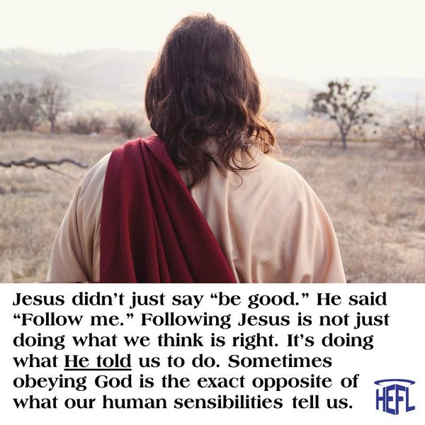 amazon.com/The-Big-Pictur…