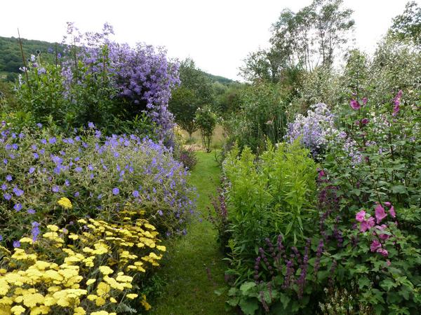 Please RT: Open Gardens @ Wellington Heath this Sun 2-6pm! Adults £5, under 12s free. <a href="/ShowMeLedbury/">ShowMe Ledbury</a> <a href="/LedburyPlaces/">Ledbury Places</a>
