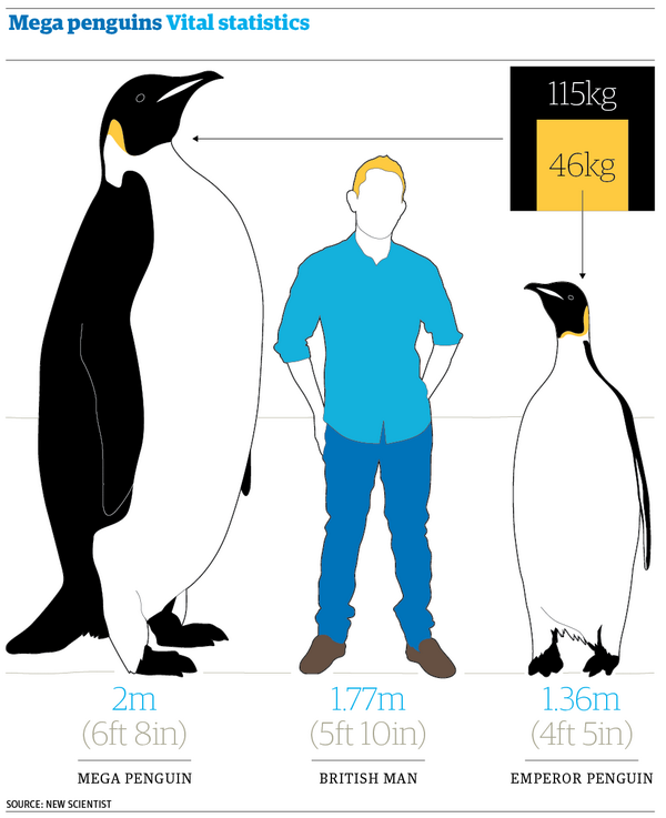 Penguin Chart