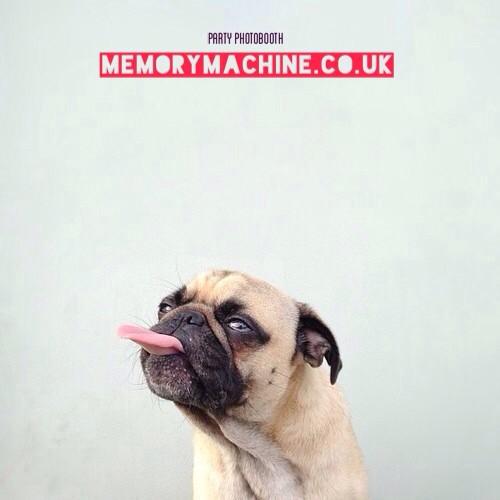 MemoryMachineUK's tweet image. Party Photobooth Northeast memorymachine.co.uk #bizitalk #northeastengland #newcastle #newcastleevents #toonarmy