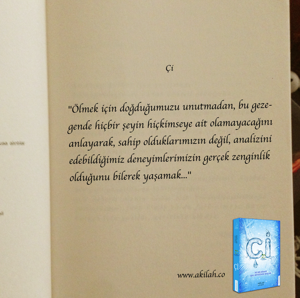 Aeden Bir Dunya Hikayesi Akilah Azra Kohen 9786053111870 Amazon Com Books