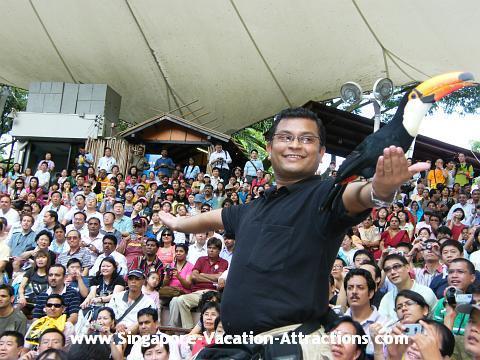 FindingLimo1's tweet image. Jurong #Bird #Park Photos 1 qoo.ly/3gmmc