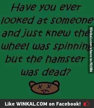 winkal.com/share/m/N2M6?c…
#dyingbreed
#rofl