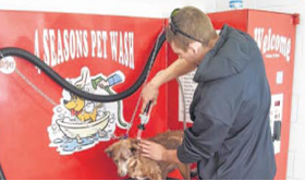 Clicktomize's tweet image. Excited to try out the Pet Wash at @CarWash4Seasons!! Check it out at 4-seasonscarwash.com/pet-wash/