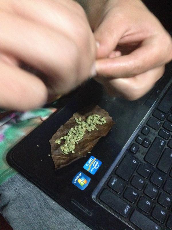 MendoDope's tweet photo. Rolling up some #brianberrycough soaking up the songs we're performing in Minnesota #mendope #plantersofthetrees http://t.co/4him5L153z