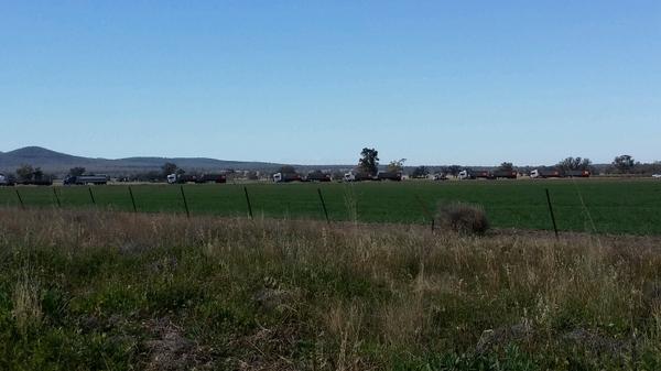 FLACCoal's tweet image. 13 truck line up held up outside Tarrawonga mine this morning thanks to #civildiscobedience and #LeardBlockade