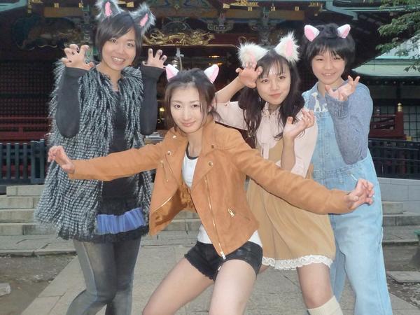 BattleCatsTeam's tweet photo. ピーンチ！バトルキャッツが11位！
ガンガン再生して返り咲きさせてー！
http://t.co/iONLvtwAeK
★頭突きで瓦割り！のアクション女優 武田梨奈が主演のアクションドラマ！
復活祭で1位になれば続編制作できるー！ http://t.co/6kaBfm4RJg
