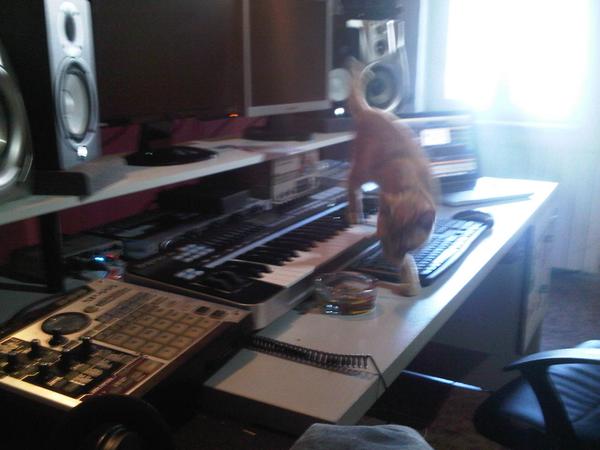 Time to work, me and House in the control of the <a href="/_BomboCaja_/">BomboCajaEstudios</a>. Now I understand <a href="/coyumusic/">Coyu</a> love. cats n sounds