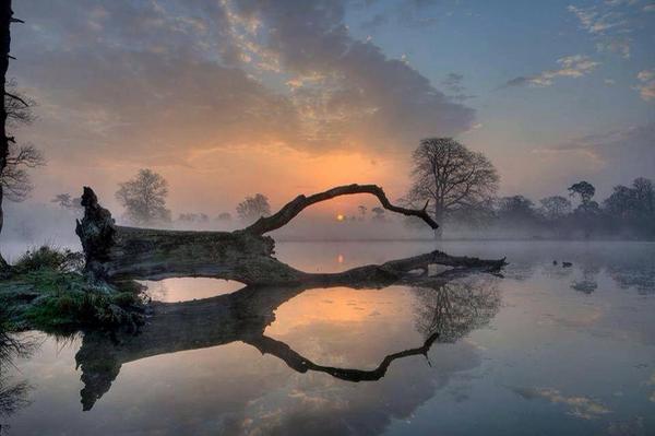 Gabriele_Corno's tweet photo. Down @ Langly Park #England http://t.co/SBYljpUDGn