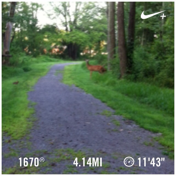 PJ_Harrison's tweet photo. Good morning run I just ran 4.14 mi @ a 11'43"/mi pace with Nike+. http://t.co/8lOOsODsRw #nikeplus http://t.co/oL16blvML4