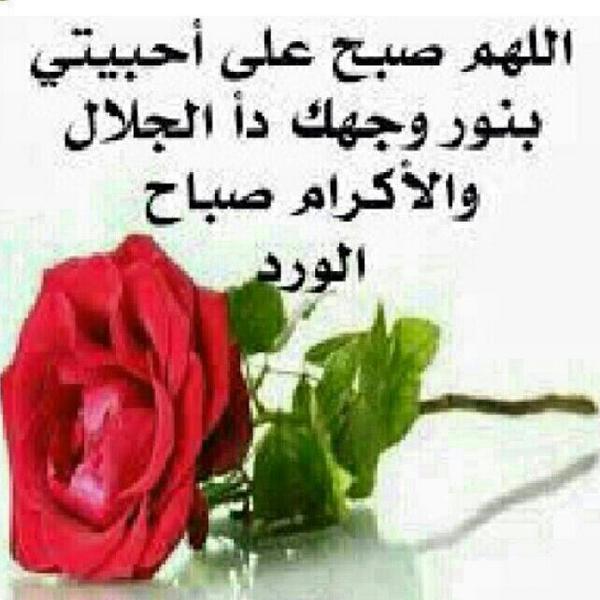 farida dashti (@faridadashti) on Twitter photo 