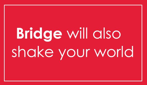 Bridge tweet media