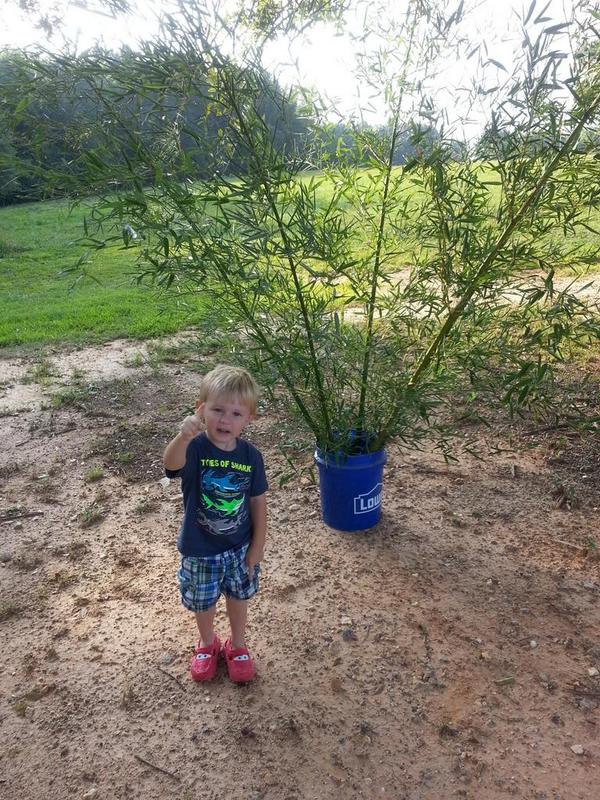 My little brushpile buddy!!! Getting geared up to make a run at a 5k payday on Lake Hartwell 8/16 F.O.M. Black Bag!!!